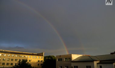 Павлодар облысында осы апта жаңбырлы болады