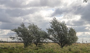 8 тамызда Павлодар облысында дауыл күтіледі