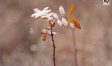Метель и гололед: погода в Павлодарской области 5 декабря