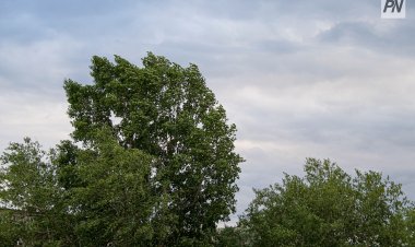 В Павлодарской области ликвидируют последствия стихийного ветра