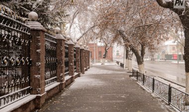 Сильные морозы ожидают в Павлодарской области 8 декабря