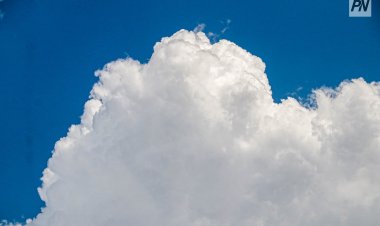 Аномалия стала основной причиной лесных пожаров в Павлодарской области