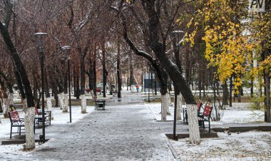 Снежная метель пройдет в Павлодарской области 8 ноября