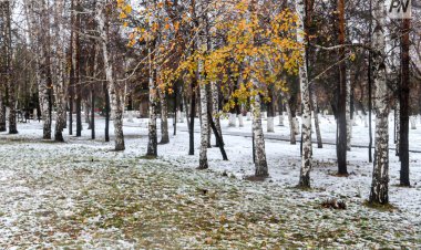 22 қазанда Павлодар облысында қар аралас жаңбыр жауады