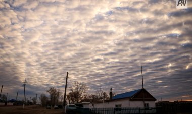 Снежную метель ожидают в Павлодарской области 14 октября