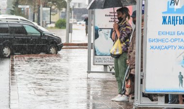 30 наурызда Павлодар облысында жаңбыр жауады