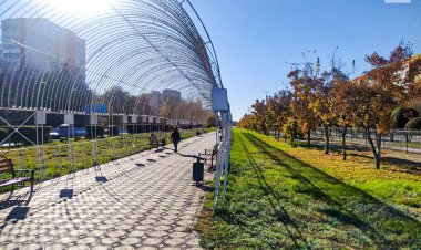 Тепло и без осадков: погода в Павлодарской области 4 октября