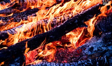 В пригороде Павлодара пламя охватило две постройки