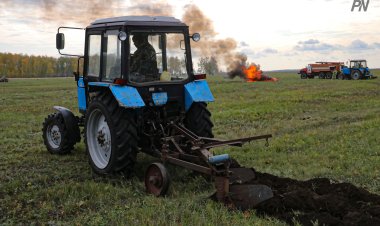 Аққулы ауданында шөп өртеу фактісі анықталды
