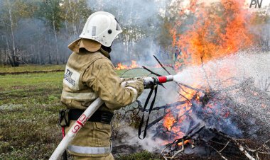 Павлодар облысында орын алған дала өрті толықтай сөндірілді