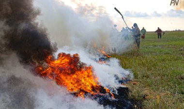 Павлодар облысында өрттердің саны едәуір азайды