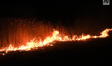 Екібастұз ауылдық аймағында құрғақ шөп жанды