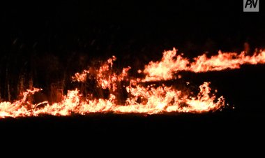 Павлодар облысында жайылма өртенді