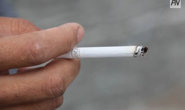 В Китае придумали «умные» стёкла