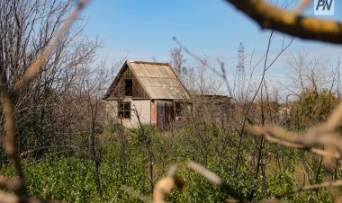 Павлодарлық саяжайшылар суармалы суды субсидиялауды сұрады