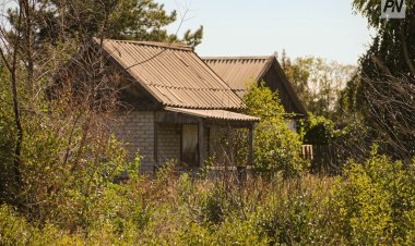 Павлодарлықтар бау-бақша мәселесіне қатысты дабыл қағуда