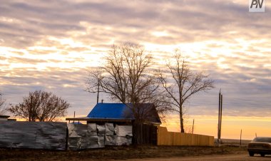 Павлодарда ұрылар иесі болмаған саяжайдан көкөністерді ұрлап кетті