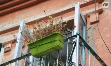 Павлодарлық тұрғын балконнан зәрін шелекпен төккен