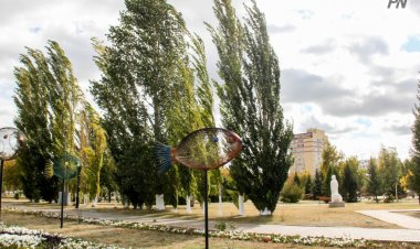 16 тамызда Павлодар облысында дауылды ескерту жарияланды