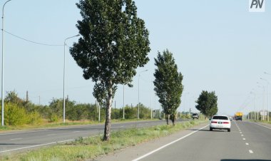 Павлодарда қатты соққан жел салдарынан электр желісінде ақаулар орын алды