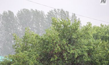 3 шілдеде Павлодар облысында жел күшейіп, күн күркірейді
