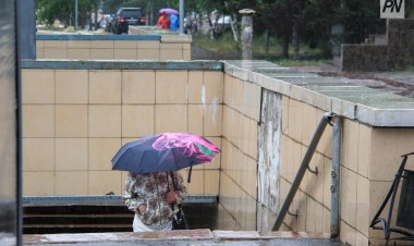 10 мамырда Павлодар облысында жаңбыр жаууы мүмкін
