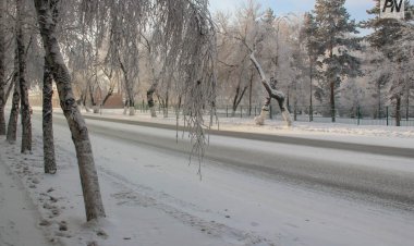 Экологи проверили снег в двух микрорайонах Павлодара