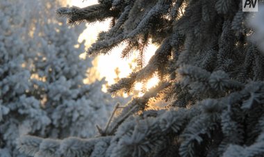 Павлодар облысында осы апта боранды және жауын-шашынды болады