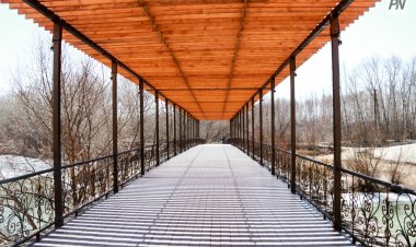 21 наурызда Павлодар облысында көктайғақ болады