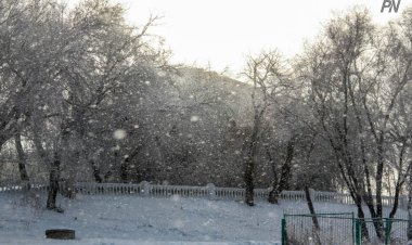 +2°С,-20°С, қар: Павлодар облысында осы аптаға арналған ауа райы