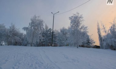 До ноля градусов поднимется температура воздуха в Павлодарской области
