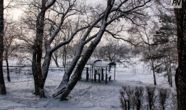 Сенбіде Павлодар облысында бұрқасын күтілуде