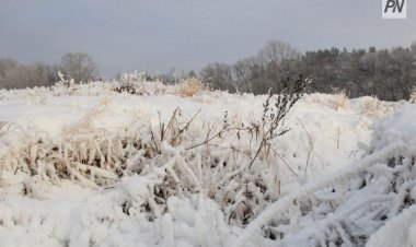 Павлодарлық экологтар қардың ластануын тексерді