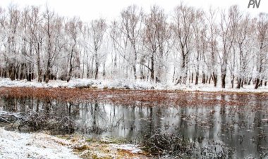 В Павлодарской области отступят морозы