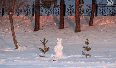 Очередная волна потепления ожидает павлодарцев