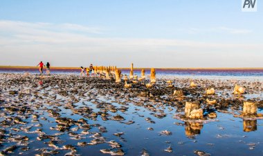 20 наурызда Павлодар облысында күн жылы болады