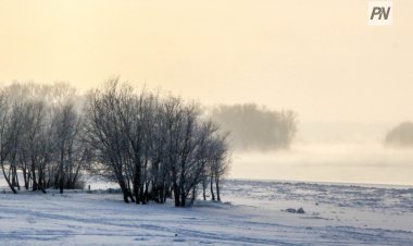 Павлодар облысында 2 қаңтарда қатты жел мен көктайғақ күтіледі