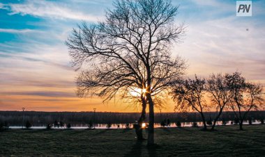 Дождь со снегом ожидают в Павлодарской области 21 марта
