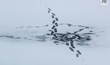 Павлодарлықтарға мұзды өткелдегі жазатайым оқиғаны болдырмау үшін не білу керек?