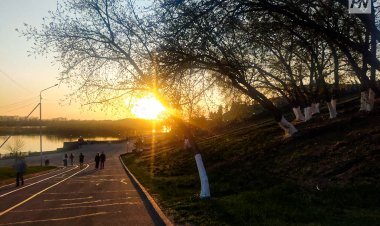 Дождь и туман: погода в Павлодарской области 13 августа