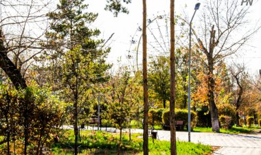 27 мая в Павлодарской области будет по-прежнему холодно