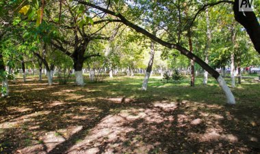 25 сентября в Павлодарской области будет по-летнему тепло