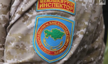Павлодар облысының орманшылары ведомстволық марапаттарға ие болды