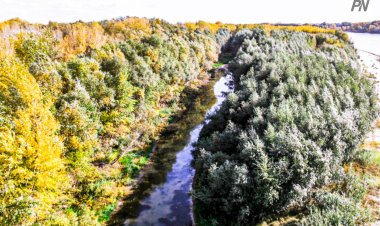 Павлодар облысында маусымның алғашқы аптасында күн ысиды