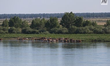 В последний день мая в Павлодарской области потеплеет