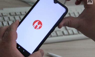 Павлодарская мошенница приобрела автомобиль нечестным путём
