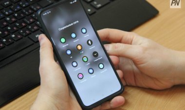 Павлодарские полицейские описали методы преступников-пародистов