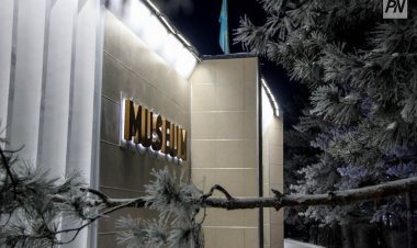 Павлодарская художница ответит на вопросы любителей живописи