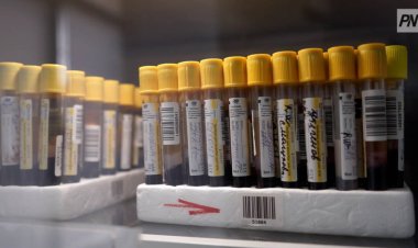 В отдаленном селе Павлодарской области прошло историческое открытие