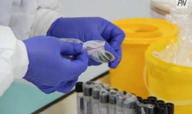 В Павлодарской области отметили снижение инфекционной заболеваемости